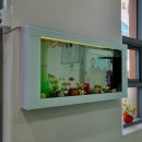 고창꿈푸른유치원 이미지