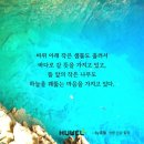 누림. 염증. 산불 이미지