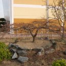 서대전초등학교 이미지