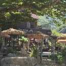 (주)젤코바 | 괴산 수옥폭포 카페 추천 : 라떼 맛집 젤코바 솔직후기