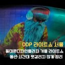 동대문디자인플라자 | DDP 라이트쇼 겨울 후기｜동대문디자인플라자 야경 직접 보고 정리한 관람 포인트