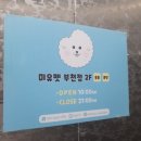 미유펫 강아지분양 고양이분양 부천점 이미지