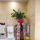 감삼우리들한의원 | 대구 광장코아 한의원, 감삼역 1번 출구에 위치한 더조은Y한의원 !! 여기는 신세계♥