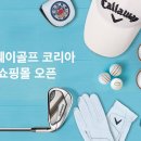 캘러웨이골프 - 구리시 경춘로 261 | 캘러웨이골프