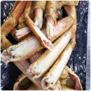 블루오션관광펜션 이미지