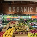 그린레시피 | 오가닉 그린 스무디 레시피 밀프랩 효과 맛 보장 후기🍎