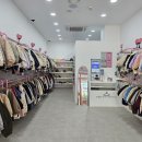 스프링데이 이미지