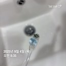 씨유(CU) 영도모닝점 | 개강이 싫은 대학원생 딩가딩가 일상