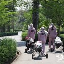세인트그린