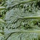 곡성기차마을전통시장 이미지