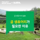 저 밑에 올라온 사육곰들을 도울 수 있는 방법 알려드리긔 이미지