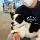 레메디한방병원 이미지