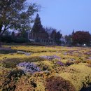 미르공인중개사사무소 이미지