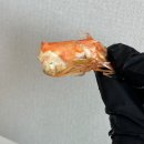 거북수산 이미지