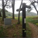 용천목장 Daum카페