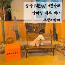 오렌지애견 | [내돈내산]광주 신상애견카페 승마장 개조 애카 오렌지카페