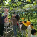 에코왕곡마을 이미지