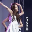 핑크파크장