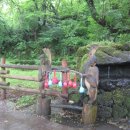 생이소리 이미지