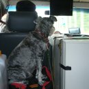 용골횟집 이미지