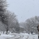 Chicago Snow! And Happy New Year! 이미지