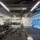 올 마이트 짐 이미지