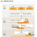 인지카 이미지