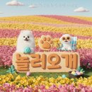 놀러오개 애견유치원 애견호텔 네이버블로그