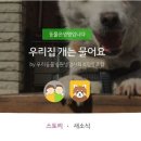 사회적협동조합반려동물 이미지