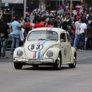 주정차단속-12 이미지