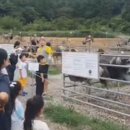 시골목장 이미지