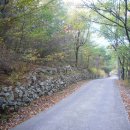 애견친구 이미지