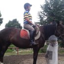 진도중학교 이미지