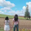 7380 | 삿포로 8월 말 2박 3일 타임라인과 경비 등_비에이투어, 준페이, 네무로 하나마루, 스프카레