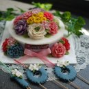 수진3호 이미지