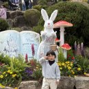 가창로 | 대구 아이와 가볼 만한 곳 네이처파크 후기｜5살 아들과 가족 나들이