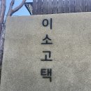 나무가있는마당 | [동해/묵호 카페] 이소고택, 박찬욱 감독 영화 속 베롱나무가 있는 미술관 같은 브런치 카페 솔직후기