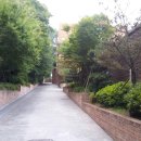 숲속햇살어린이집 이미지