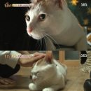 동식농장 이미지