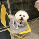 쁜이네 곳간 이미지