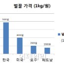 베트남산 꿀 가격은 국산의 3분의 1 수준이다. 이미지