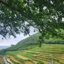 사촌마을해수욕장민박 | 남해 1박2일 다랭이마을/남해스떼/사촌해수욕장 킷사 남애/솔바다민박