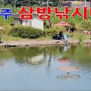 20241005 파주 삼방낚시터 대물향어, 향어 금/토/일 200kg이상 방류 예정 이미지