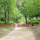 단월드 힐링메시지 ' 장애를 두려워 말라' 이미지