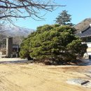 이정화농장 이미지