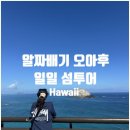 와이키키 - 양주시 청담로 308-122 | 와이키키