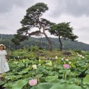 맘스터치 자인점 네이버블로그