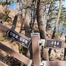 전촌물회 이미지