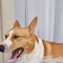 제로네간식타임 이미지