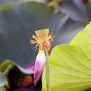 토속마을 이미지